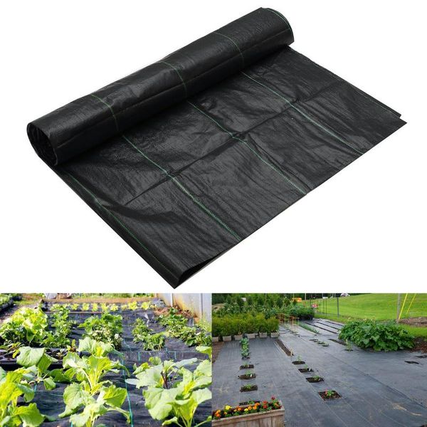 planters & pots pp woven control fabric for plant anti grass agricultural mulch cloth greenhouse weeding mat water permeable
planters & pots pp woven control fabric for plant anti grass agricultural mulch cloth greenhouse weeding mat water permeable