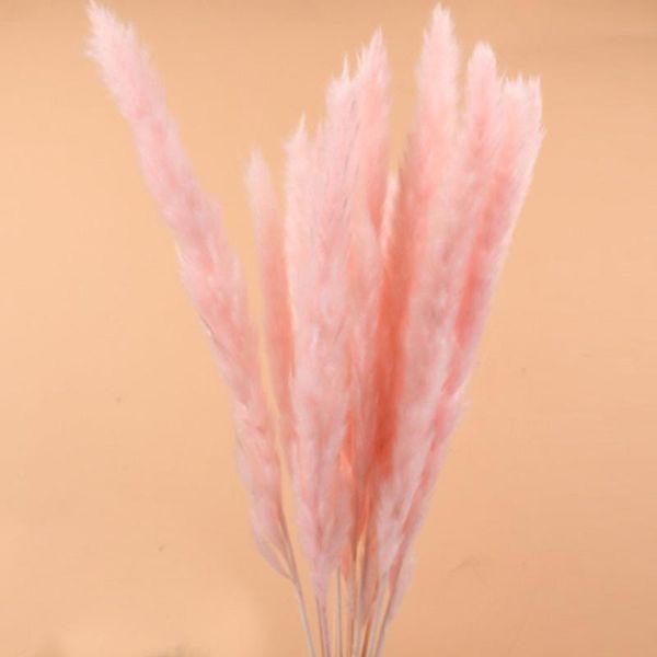 decorative flowers & wreaths 15pcs durable reed home decor flavorful flower bunch bulrush natural wedding phragmites bouquets small dried pa
decorative flowers & wreaths 15pcs durable reed home decor flavorful flower bunch bulrush natural wedding phragmites bouquets small dried pa