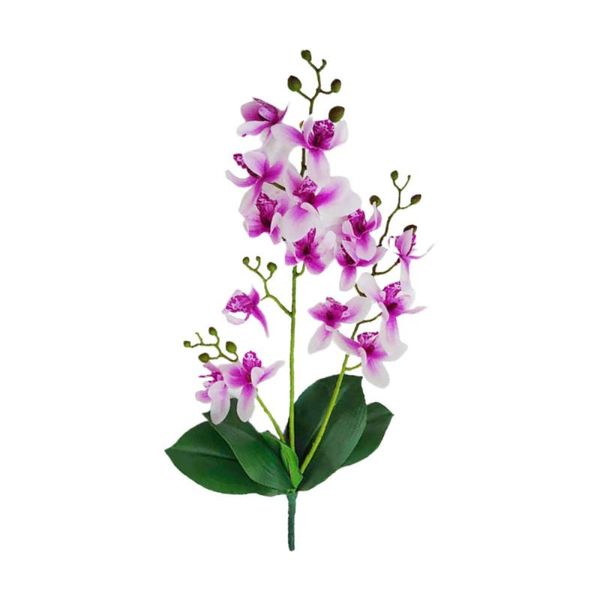 decorative flowers & wreaths ornaments home decoration 3 forks with leaves 15 heads artificial orchids 55cm east asian floral wedding scene
decorative flowers & wreaths ornaments home decoration 3 forks with leaves 15 heads artificial orchids 55cm east asian floral wedding scene