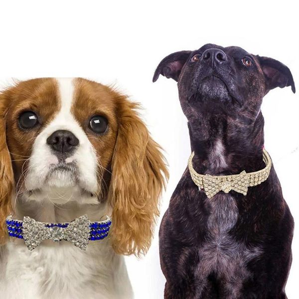 dog collars & leashes super shining diamond rhinestone cat collar puppy baby necklace kitten accessories
dog collars & leashes super shining diamond rhinestone cat collar puppy baby necklace kitten accessories