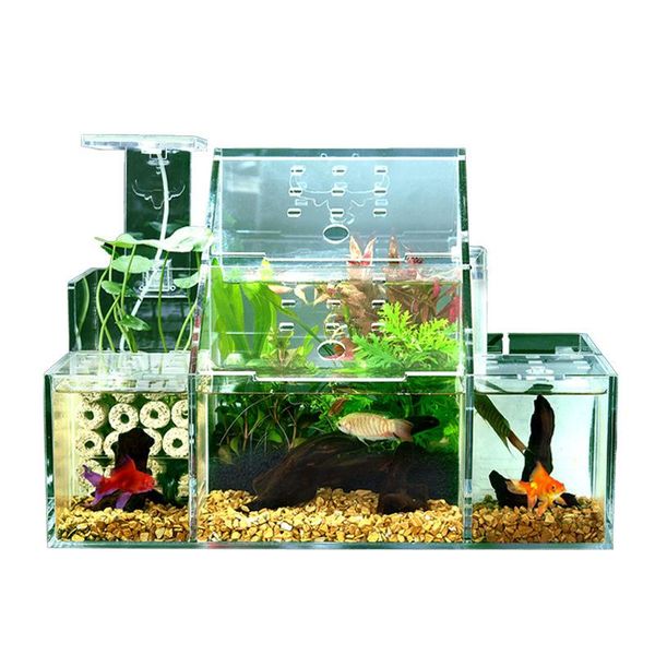 aquariums acrylic fighting fish tank guppy breeding and hatching special isolation box circulating water filtration
aquariums acrylic fighting fish tank guppy breeding and hatching special isolation box circulating water filtration