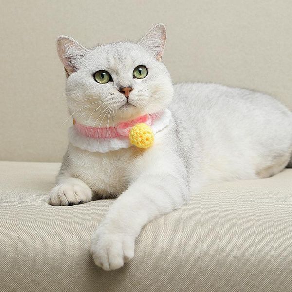 cat collars & leads hand-knitted pet products neck scarf for cats and dogs cute saliva towels adjustable collar
cat collars & leads hand-knitted pet products neck scarf for cats and dogs cute saliva towels adjustable collar