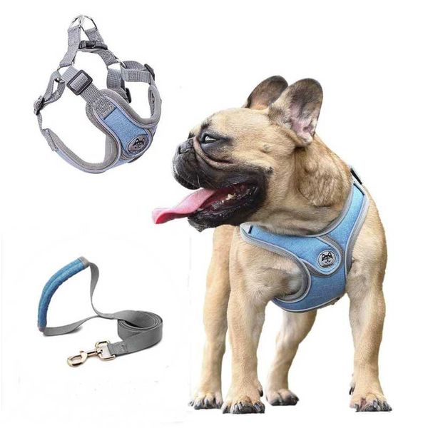 dog collars & leashes no pull adjustable harness vest reflective small leash and collar for terrier schnauzer pet cat walking training suppl
dog collars & leashes no pull adjustable harness vest reflective small leash and collar for terrier schnauzer pet cat walking training suppl