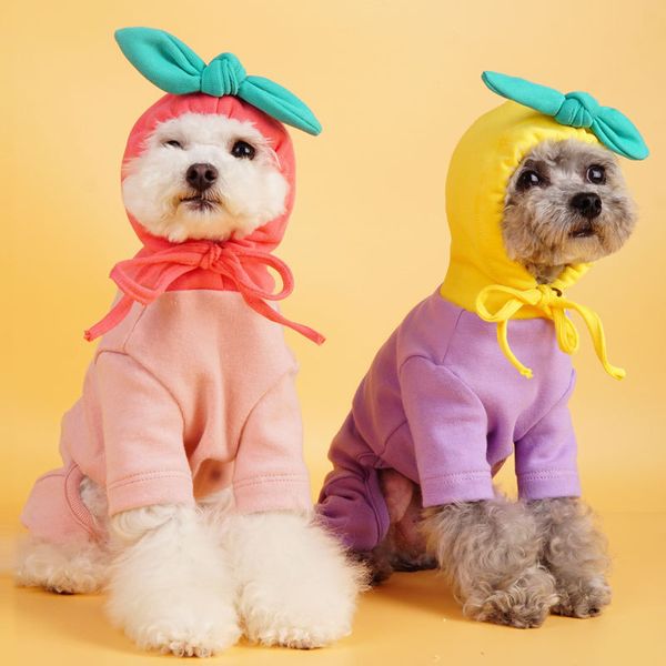 autumn and winter dog fruit hooded four legged cloth cotton teddy is straighter than bear fun pet
autumn and winter dog fruit hooded four legged cloth cotton teddy is straighter than bear fun pet