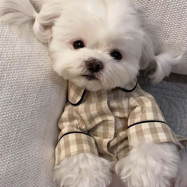 dog apparel ins wind korean non-printed plaid khaki blue pocket pajamas home clothes pet bichon teddy 
dog apparel ins wind korean non-printed plaid khaki blue pocket pajamas home clothes pet bichon teddy