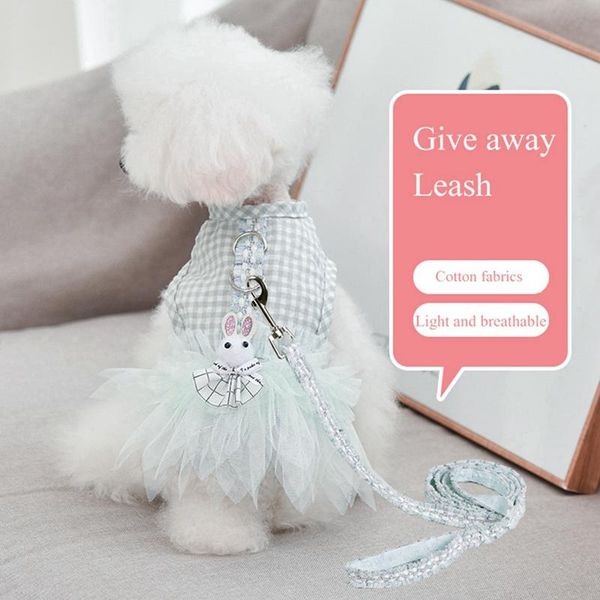 dog apparel summer fashion dress set with leash wedding skirt puppy clothing polyester pet clothes xs-xxl
dog apparel summer fashion dress set with leash wedding skirt puppy clothing polyester pet clothes xs-xxl