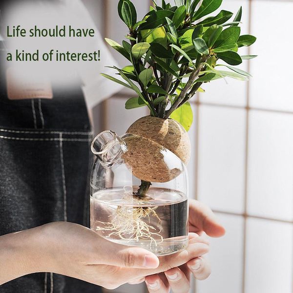 vases simple glass vase transparent hydroponic plant flower apparatus modern household table living room arrangement q-217
vases simple glass vase transparent hydroponic plant flower apparatus modern household table living room arrangement q-217
