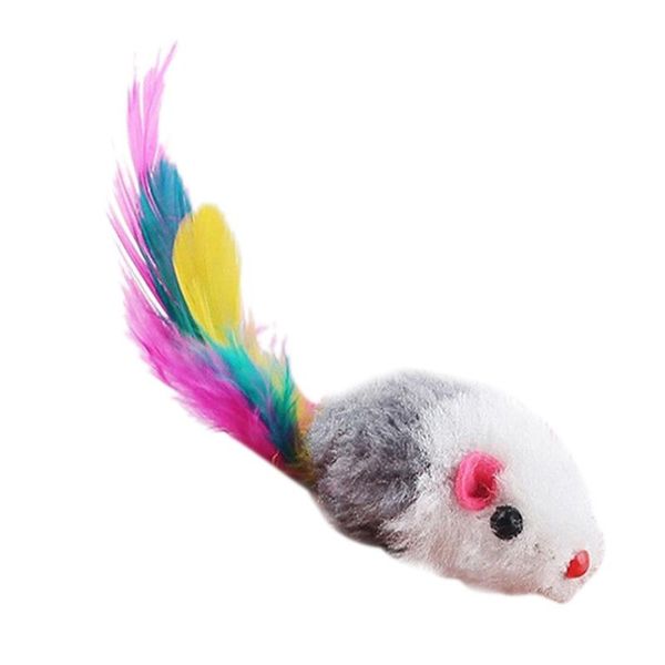 pcs est colorful feather funny playing toys for cats kitten soft fleece false mouse cat
pcs est colorful feather funny playing toys for cats kitten soft fleece false mouse cat