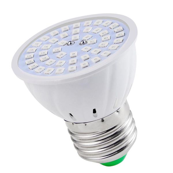 leds plant grow lamp led full spectrum growth light bulbs seedling flower phyto for indoor hydroponic plants lights
leds plant grow lamp led full spectrum growth light bulbs seedling flower phyto for indoor hydroponic plants lights
