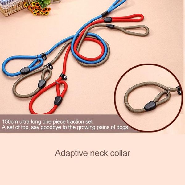 nylon dog training leash dogs p chain anti-riot slip collar walking leads rope for small medium breeds chihuahua teddy collars & leashes
nylon dog training leash dogs p chain anti-riot slip collar walking leads rope for small medium breeds chihuahua teddy collars & leashes