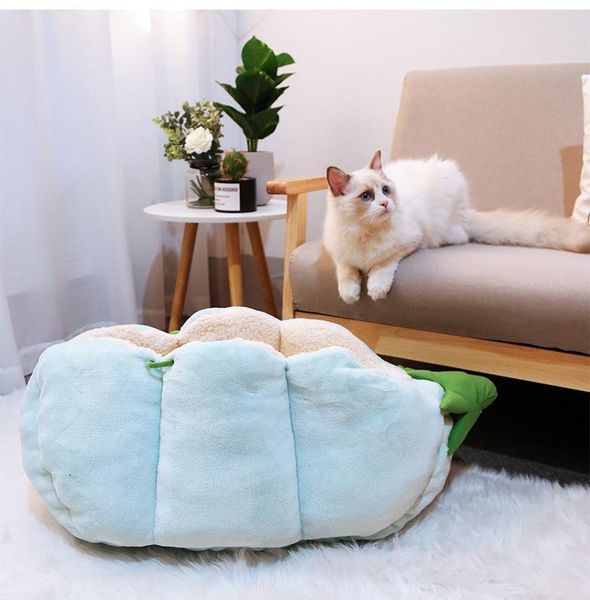 kawaii warm small dog cats house creative pea shaped soft kitten puppy sleeping bed home pet supplies accessories cat beds & furniture
kawaii warm small dog cats house creative pea shaped soft kitten puppy sleeping bed home pet supplies accessories cat beds & furniture
