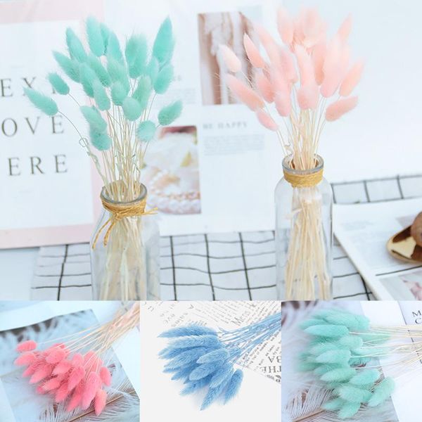 decorative flowers & wreaths 20pcs colorful lagurus natural dried bouquet diy wedding home christmas decoration tail grass real
decorative flowers & wreaths 20pcs colorful lagurus natural dried bouquet diy wedding home christmas decoration tail grass real