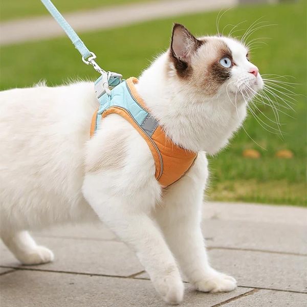 cat collars & leads dog harness with leash reflective breathable adjustable pet for small medium dogs vest puppy kitten collar
cat collars & leads dog harness with leash reflective breathable adjustable pet for small medium dogs vest puppy kitten collar