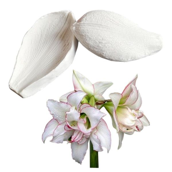 baking moulds lily &amaryllis flower veiners silicone mold diy fondant cake surgar gumpaste utensils m2435
baking moulds lily &amaryllis flower veiners silicone mold diy fondant cake surgar gumpaste utensils m2435