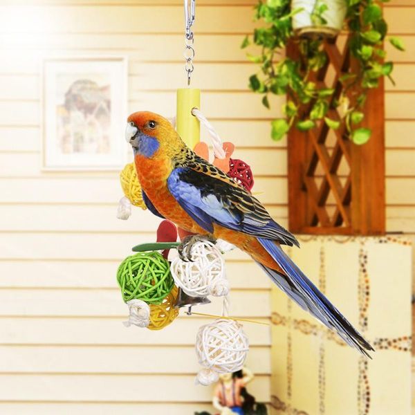 other bird supplies colorful parrot pet bite climb chewing toy nest decorative hanging ornament toys
other bird supplies colorful parrot pet bite climb chewing toy nest decorative hanging ornament toys
