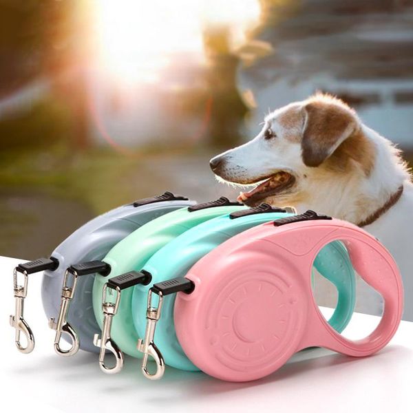 dog collars & leashes 3/5m automatic leash retractable walking rope cat traction extending running leads pet training
dog collars & leashes 3/5m automatic leash retractable walking rope cat traction extending running leads pet training