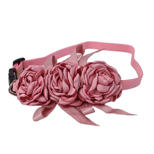 dog collars & leashes small pet flower collar no bell butterfly bow tie cat and medium sized wedding strap
dog collars & leashes small pet flower collar no bell butterfly bow tie cat and medium sized wedding strap