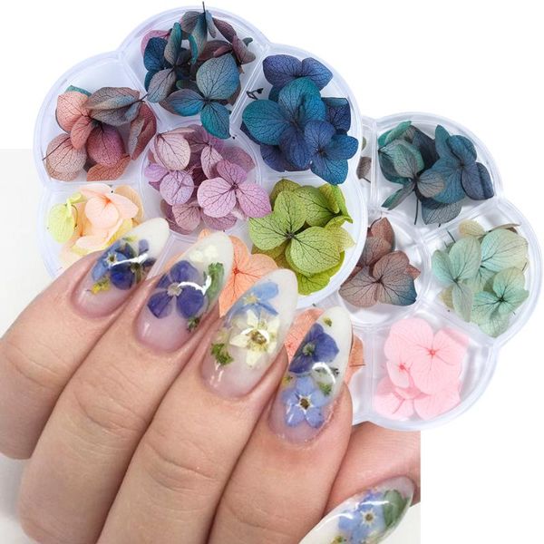 nail art decorations dried flowers dry plants pressed for manicure decor small daisy rose accessories lot gl1524, Silver;gold
nail art decorations dried flowers dry plants pressed for manicure decor small daisy rose accessories lot gl1524, Silver;gold