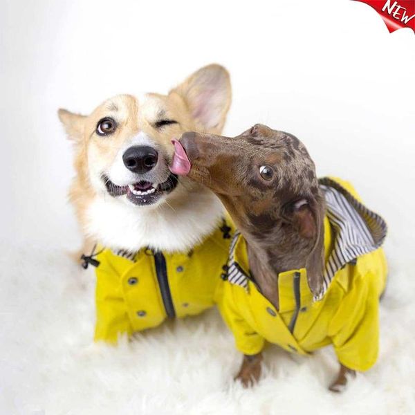 pet dog clothes for puppy windproof jacket rainproof raincoat sport hoodies jackets popa perro apparel
pet dog clothes for puppy windproof jacket rainproof raincoat sport hoodies jackets popa perro apparel