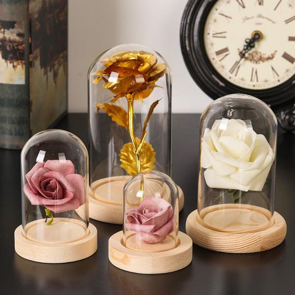 clothing & wardrobe storage glass cloche jar display stand cover terrarium bottle with wooden base acrylic dust box immortal flower
clothing & wardrobe storage glass cloche jar display stand cover terrarium bottle with wooden base acrylic dust box immortal flower