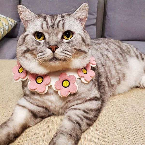 cat collars & leads saliva towel scarf lace gentle comfortable pet for cats dogs love heart collar neckerchief elegant products
cat collars & leads saliva towel scarf lace gentle comfortable pet for cats dogs love heart collar neckerchief elegant products