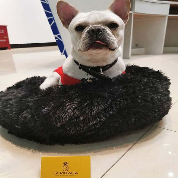 dog houses & kennels accessories kennel doghouse deep sleeping cat nest long plush winter warm bed sheet mat for small medium dogs ultra sof
dog houses & kennels accessories kennel doghouse deep sleeping cat nest long plush winter warm bed sheet mat for small medium dogs ultra sof