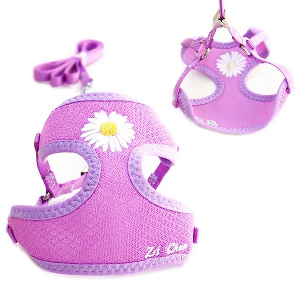 dog collars & leashes daisy embroidery mesh breathable vest harness and leash set control rope accessories for small dogs chihuahua
dog collars & leashes daisy embroidery mesh breathable vest harness and leash set control rope accessories for small dogs chihuahua