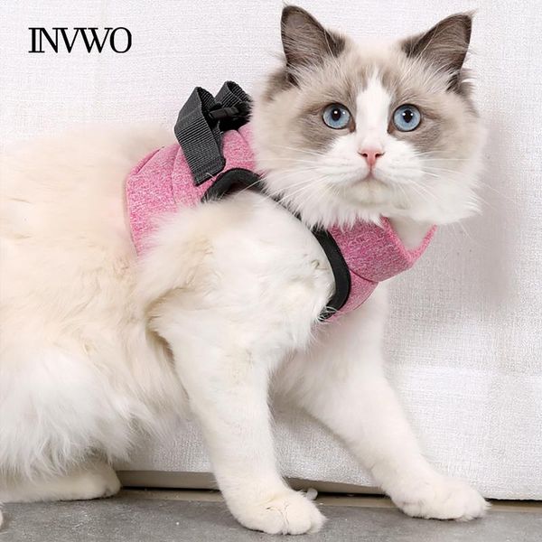 cat collars & leads invwo fashion harness comfortable cute high-quality small medium large adjustable pet harnesslightness personality pink
cat collars & leads invwo fashion harness comfortable cute high-quality small medium large adjustable pet harnesslightness personality pink