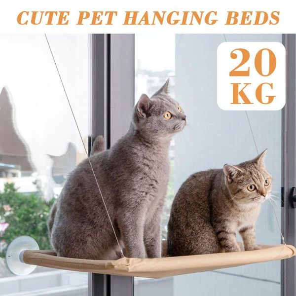 cat hammock resting sunny seat window mount bed pet hanging beds bearing 20kg comfortable kitten supplies & furniture
cat hammock resting sunny seat window mount bed pet hanging beds bearing 20kg comfortable kitten supplies & furniture