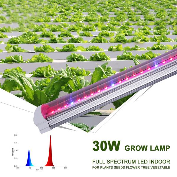 led plant grow lamp indoor fitolamp full spectrum for plants fitolampy phyto hydroponics growing seeds flower growth light lights
led plant grow lamp indoor fitolamp full spectrum for plants fitolampy phyto hydroponics growing seeds flower growth light lights