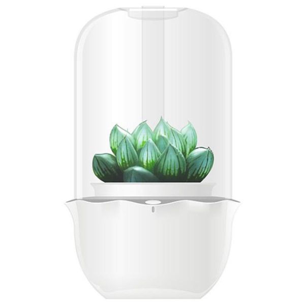 mini cute deskdecor smart garden simple creative ligent personality succulent plant pot planters & pots
mini cute deskdecor smart garden simple creative ligent personality succulent plant pot planters & pots
