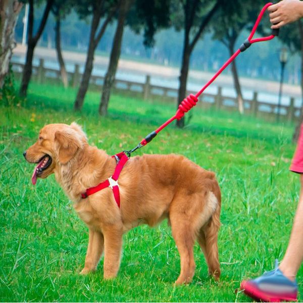dog collars long nylon leash dogs lead pet mountaineering rope outdoor walking training leashes for belt safety &
dog collars long nylon leash dogs lead pet mountaineering rope outdoor walking training leashes for belt safety &