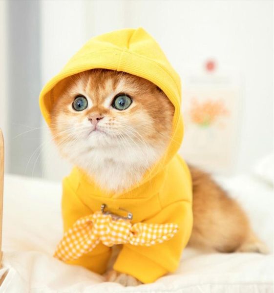 cat shirts coat for small cats shirt clothing puppy kitten costumes
