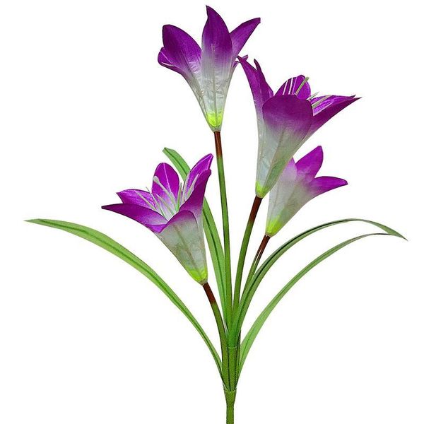 lawn lamps solar garden lights outdoor lily flower multi-color changing led stake for patio backyard
lawn lamps solar garden lights outdoor lily flower multi-color changing led stake for patio backyard