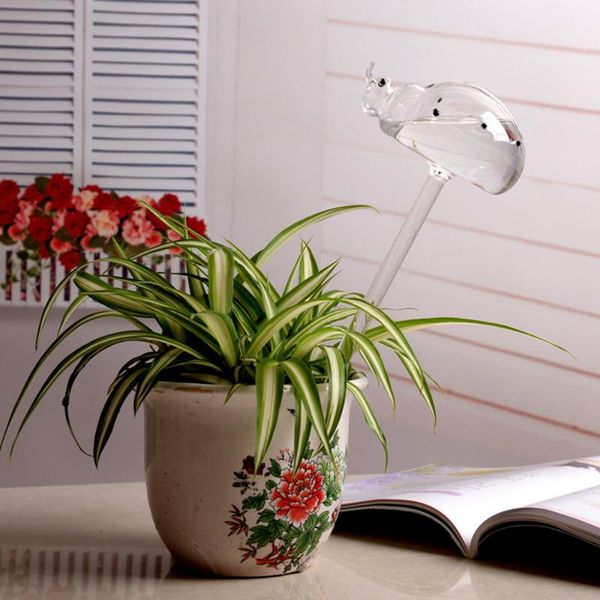 watering equipments plant waterer self bulb hand blown clear glass globe for indoor potted plants
watering equipments plant waterer self bulb hand blown clear glass globe for indoor potted plants