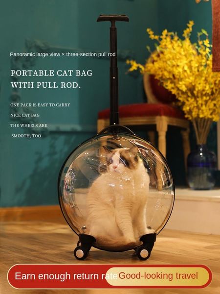cat beds & furniture banana bed fj(origin) litter trap mat s cama para gato cn(origin)litier pour chat de(origin) no(origin) nz(origin) dog
cat beds & furniture banana bed fj(origin) litter trap mat s cama para gato cn(origin)litier pour chat de(origin) no(origin) nz(origin) dog
