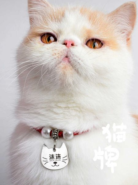 laser id lettering cat tag necklace dog bell jewelry collar pet fdvl
laser id lettering cat tag necklace dog bell jewelry collar pet fdvl