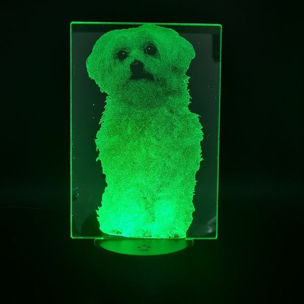 baby room 3d night light led pet dog acrylic desk lamp bedside maltese nightlight bluetooth speaker atmosphere decor kids gift
baby room 3d night light led pet dog acrylic desk lamp bedside maltese nightlight bluetooth speaker atmosphere decor kids gift