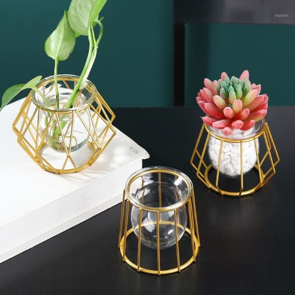 nordic creative vase home decor golden glass hydroponic plant holder iron line flowers ornament garden decoration vases
nordic creative vase home decor golden glass hydroponic plant holder iron line flowers ornament garden decoration vases