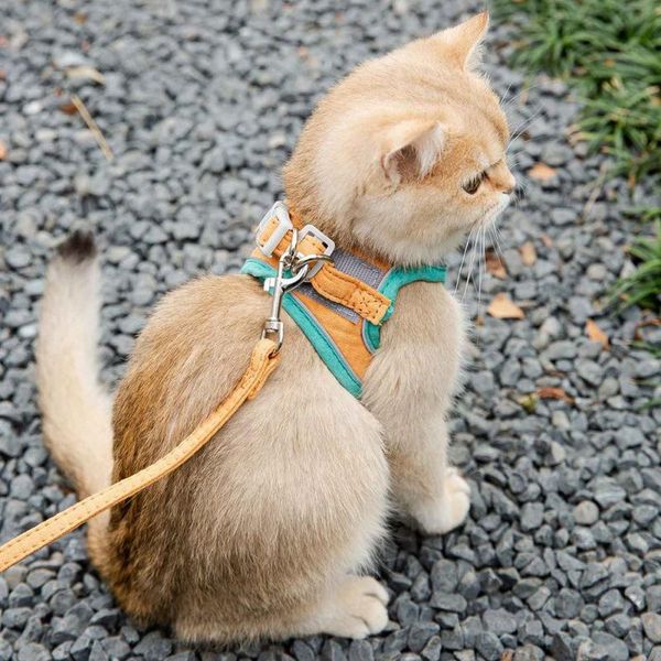cat collars & leads harness leash set for chihuahua accessories dog vest pug leashes walking tools walk out lead product
cat collars & leads harness leash set for chihuahua accessories dog vest pug leashes walking tools walk out lead product