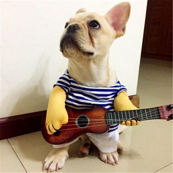 dog apparel fashion -selling pet clothesdress up guitarist dress funny cat playing guitar standing upright
dog apparel fashion -selling pet clothesdress up guitarist dress funny cat playing guitar standing upright