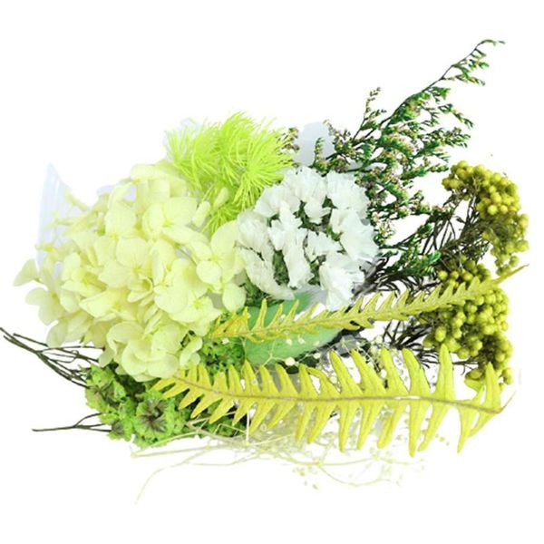 real boxed dried flower material bag plant epoxy pendant acce party/wedding home decoration diy furnishing necklace crafts b3p6 decorative f
real boxed dried flower material bag plant epoxy pendant acce party/wedding home decoration diy furnishing necklace crafts b3p6 decorative f