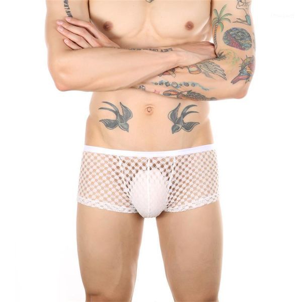 underpants fishnet boxer shorts men's underwear mesh transparent panties boxers hombre erotic lingerie male clubwear, Black;white
underpants fishnet boxer shorts men's underwear mesh transparent panties boxers hombre erotic lingerie male clubwear, Black;white