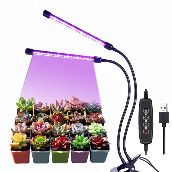 phyto lamp led full spectrum flower succulent anti-legendary fill light clip double-head three-head phytolamp for plants grow lights
phyto lamp led full spectrum flower succulent anti-legendary fill light clip double-head three-head phytolamp for plants grow lights