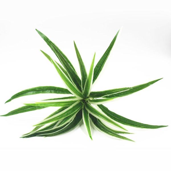 decorative flowers & wreaths 1pcs artificial plants fake plastic plant chlorophytum for home garden office deskgreen grass decoration
decorative flowers & wreaths 1pcs artificial plants fake plastic plant chlorophytum for home garden office deskgreen grass decoration
