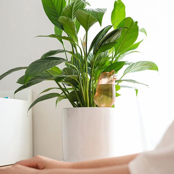 cute automatic flower watering device for home gardening plants convenient self-service equipments
cute automatic flower watering device for home gardening plants convenient self-service equipments