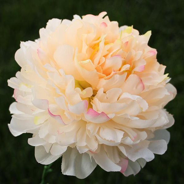 decorative flowers & wreaths 18cm peony flower head colorful home decoration party supply fake wall accessories diy handmade gift wedding de
decorative flowers & wreaths 18cm peony flower head colorful home decoration party supply fake wall accessories diy handmade gift wedding de