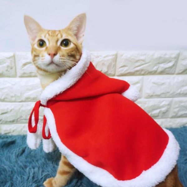 cat costumes christmas clothes small dogs cats santa costume kitten puppy outfit hoodie warm winter pet dog clothing accessories
cat costumes christmas clothes small dogs cats santa costume kitten puppy outfit hoodie warm winter pet dog clothing accessories