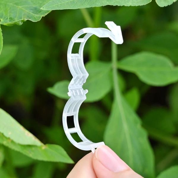 other garden supplies 50/100 pcs reusable plastic plant support clips clamps for plants hanging vine greenhouse vegetables tomatoes
other garden supplies 50/100 pcs reusable plastic plant support clips clamps for plants hanging vine greenhouse vegetables tomatoes