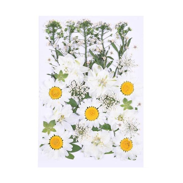 pressed flowers natural small dried for nails craft nail accessories decorative diy artificial flow y8o3 & wreaths
pressed flowers natural small dried for nails craft nail accessories decorative diy artificial flow y8o3 & wreaths